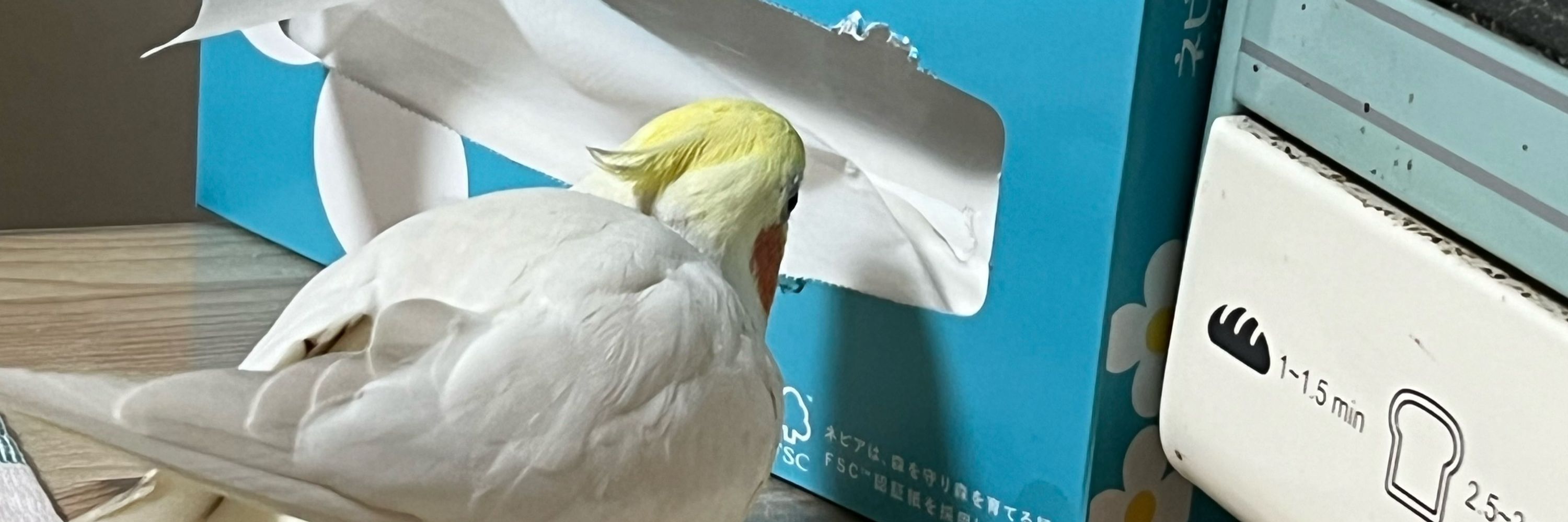 なーこ▶︎イン粉が舞う暮らし