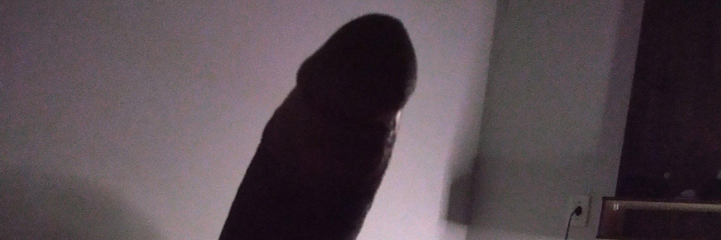 Wilames DOT21CM 🍆🔥🥵🤑