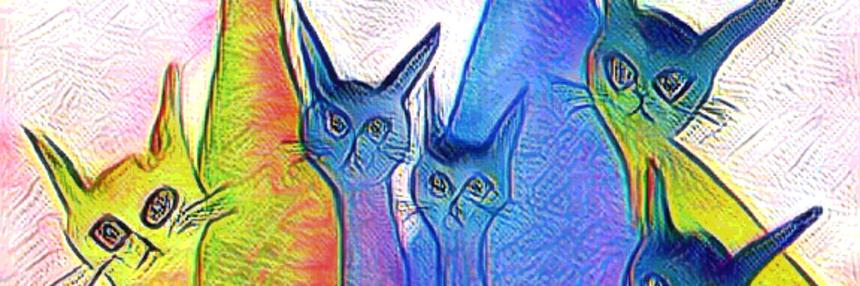 Catolé 