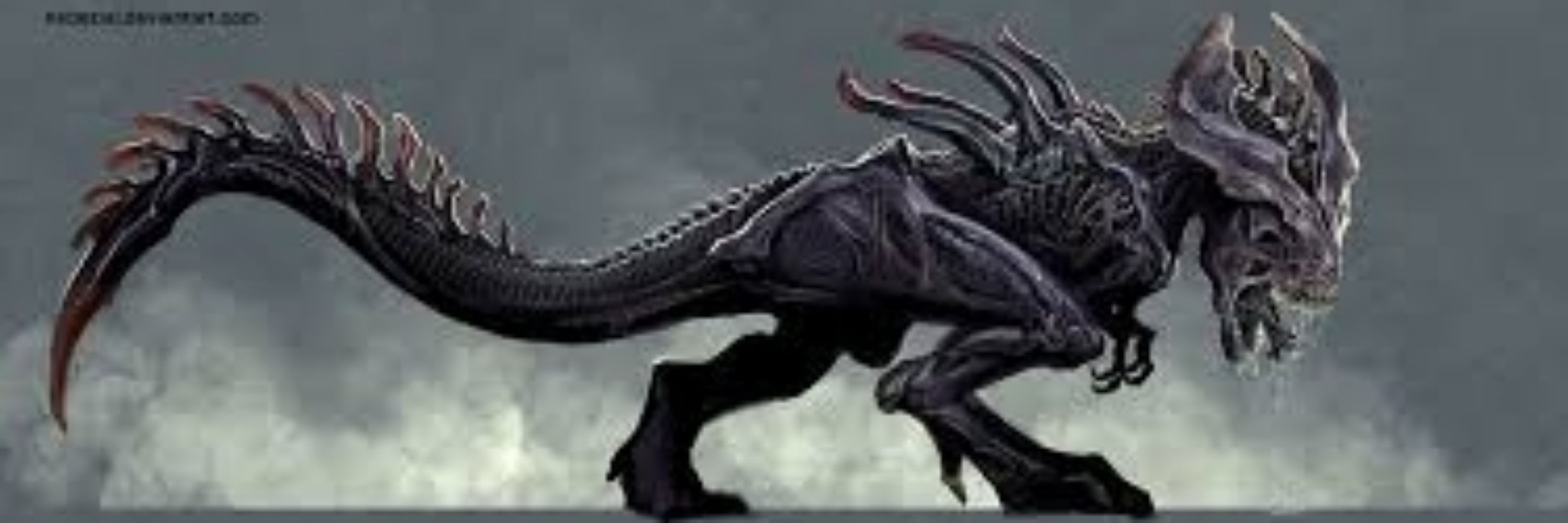 Dragonjackal