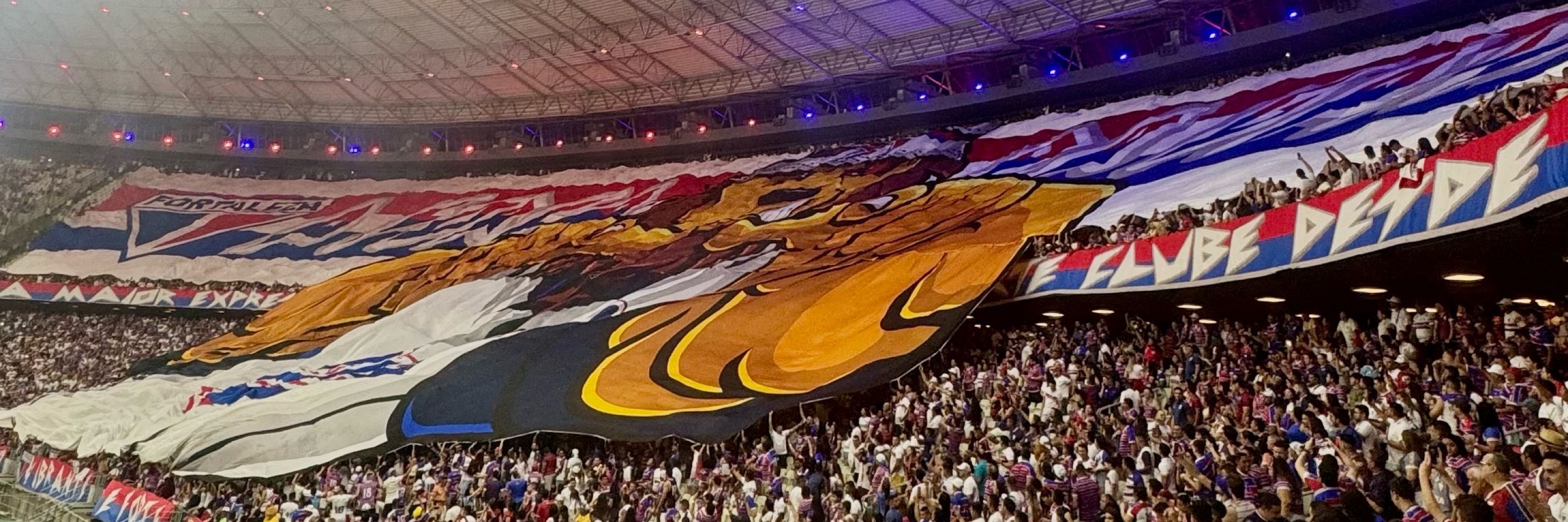 yaya tricolor
