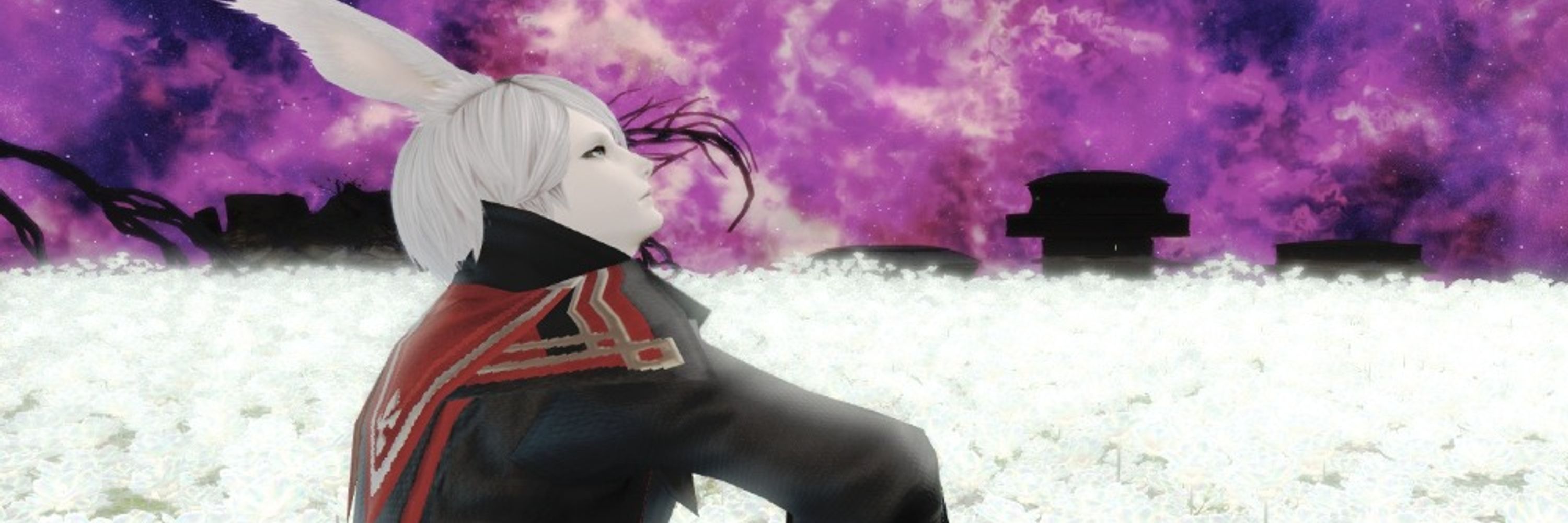 セス・グレイスター