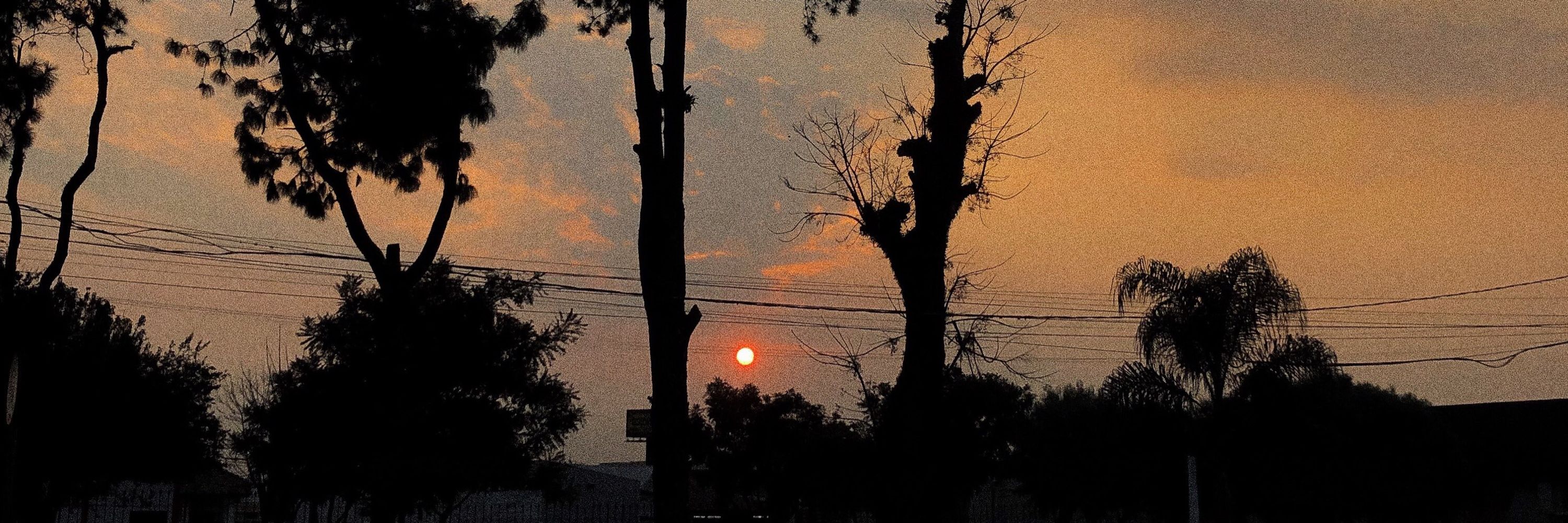 silveira ☯️