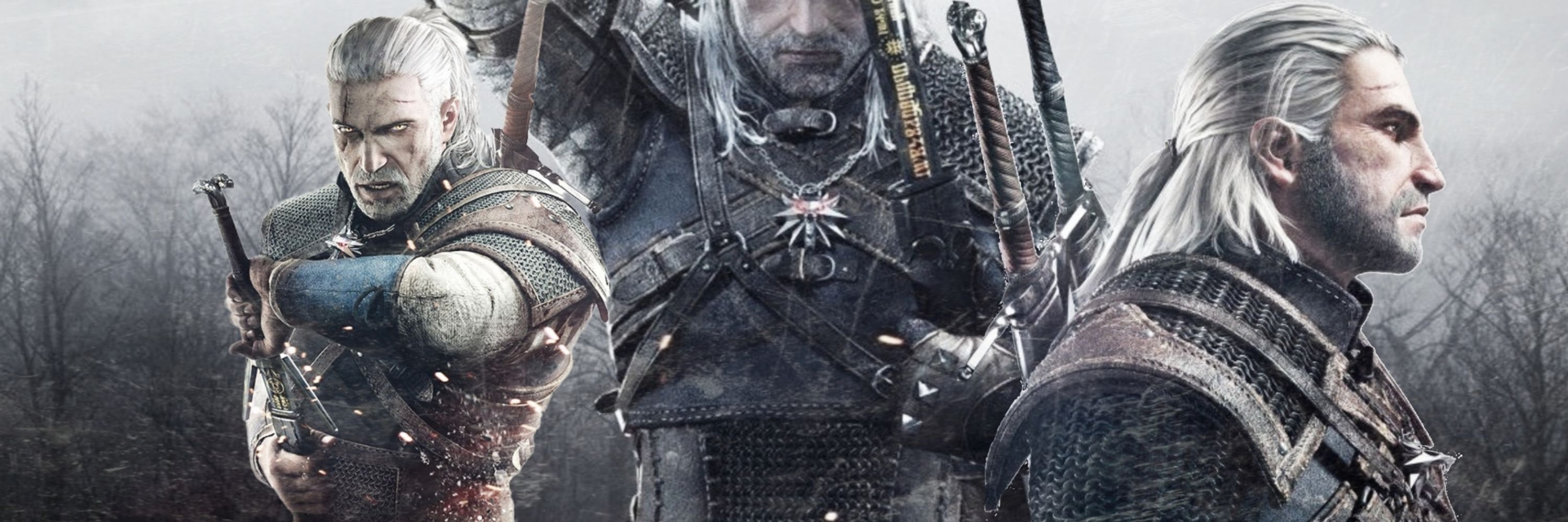 — The Witcher