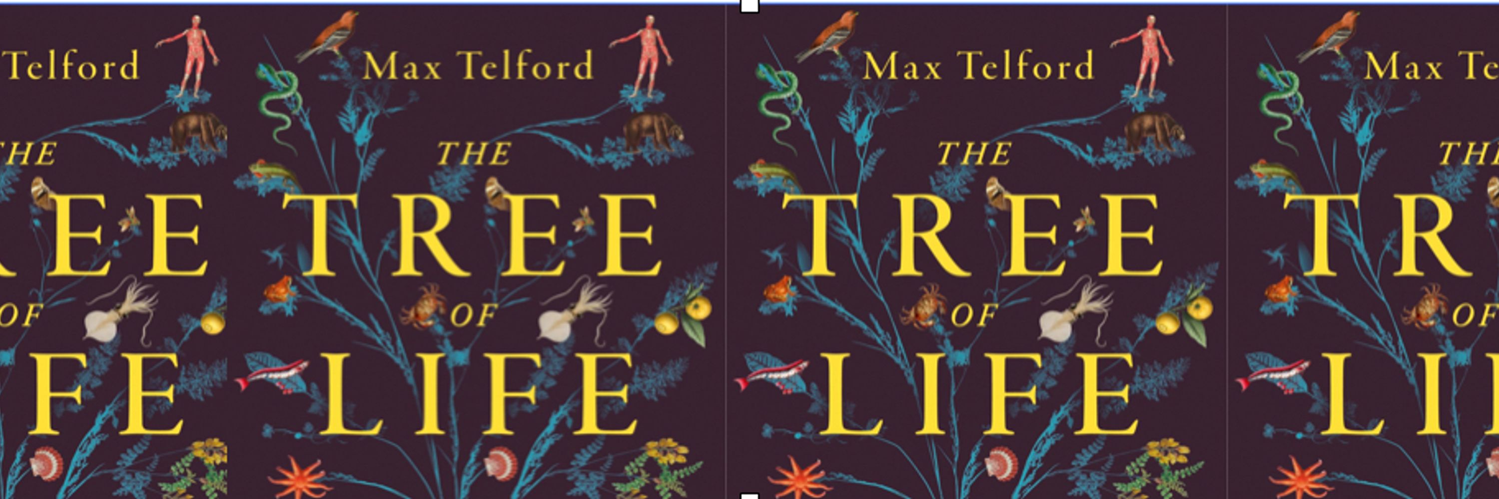 Max Telford
