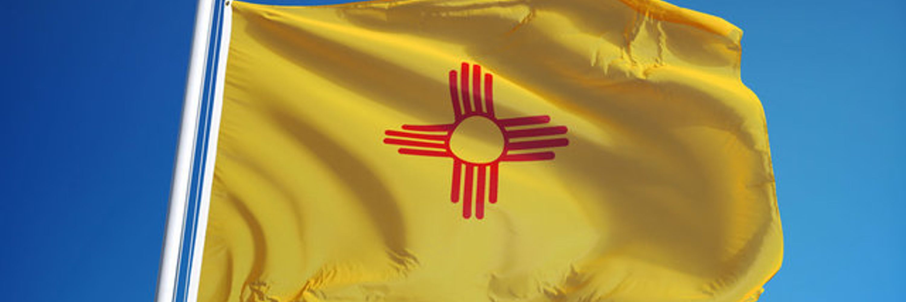 Democratic Party of Lea County
