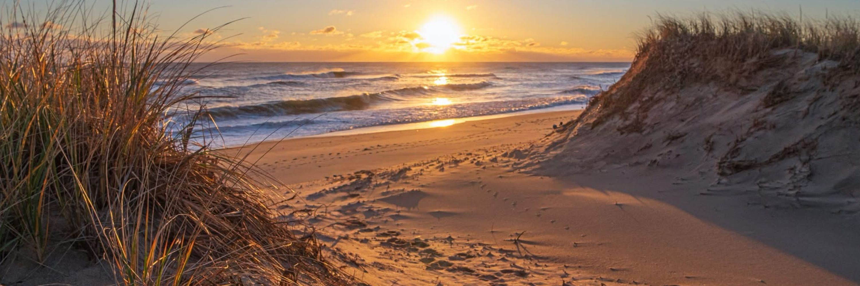 Cape Cod Postaah