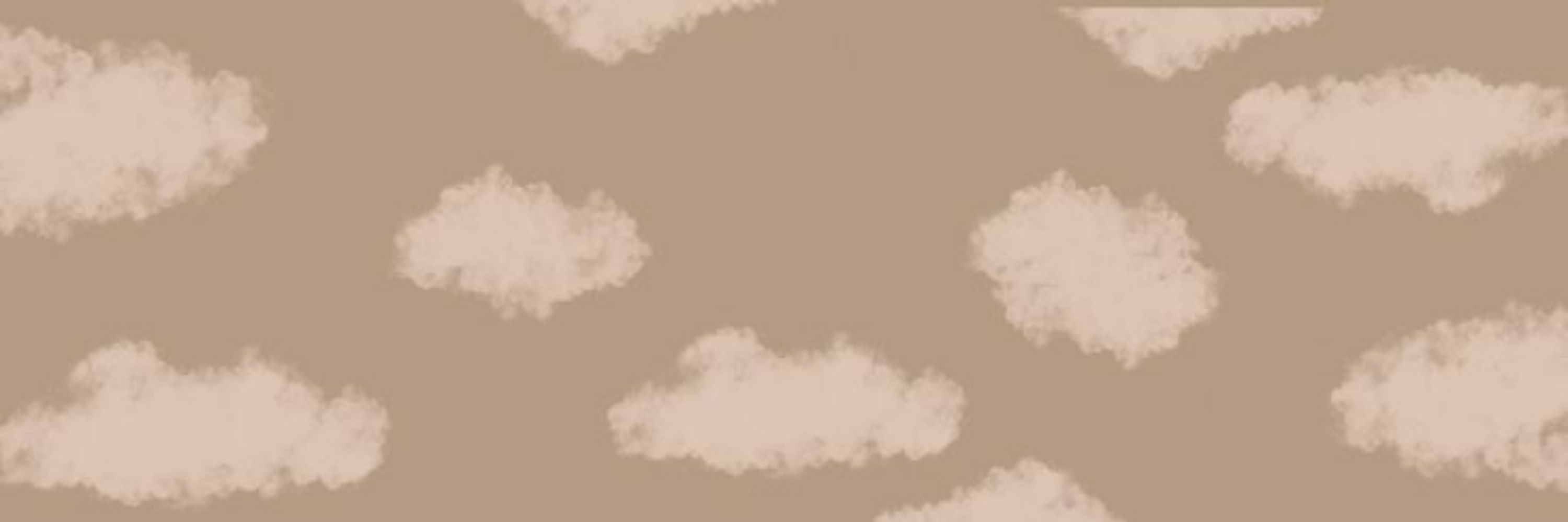 ˖⊹ dum ☁️