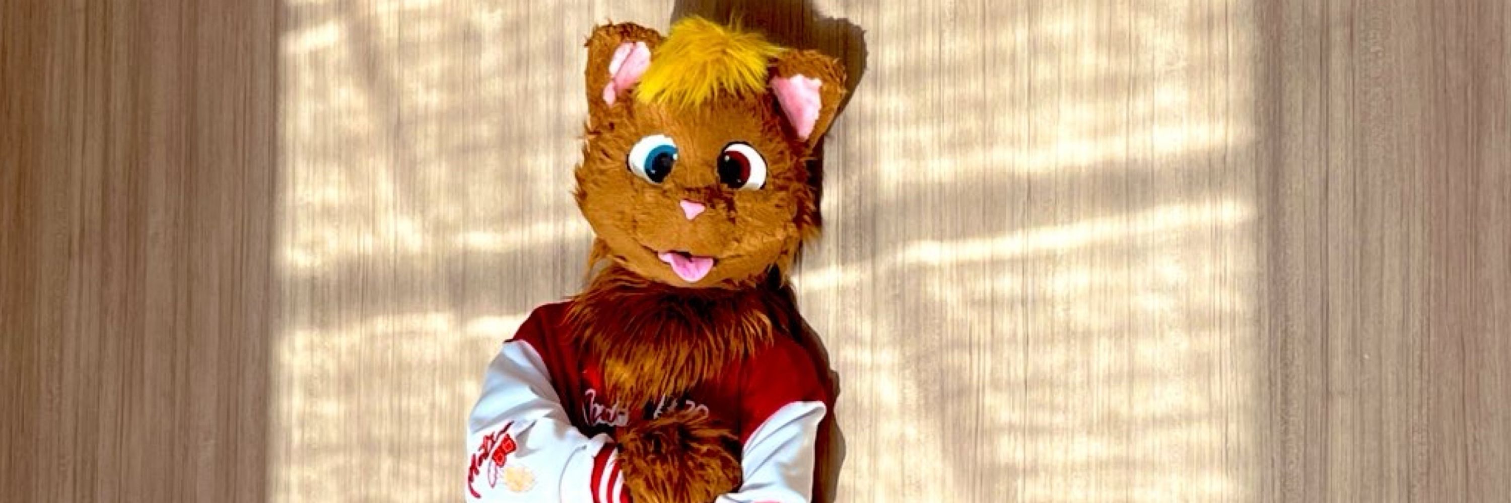 KennyTheFursuit