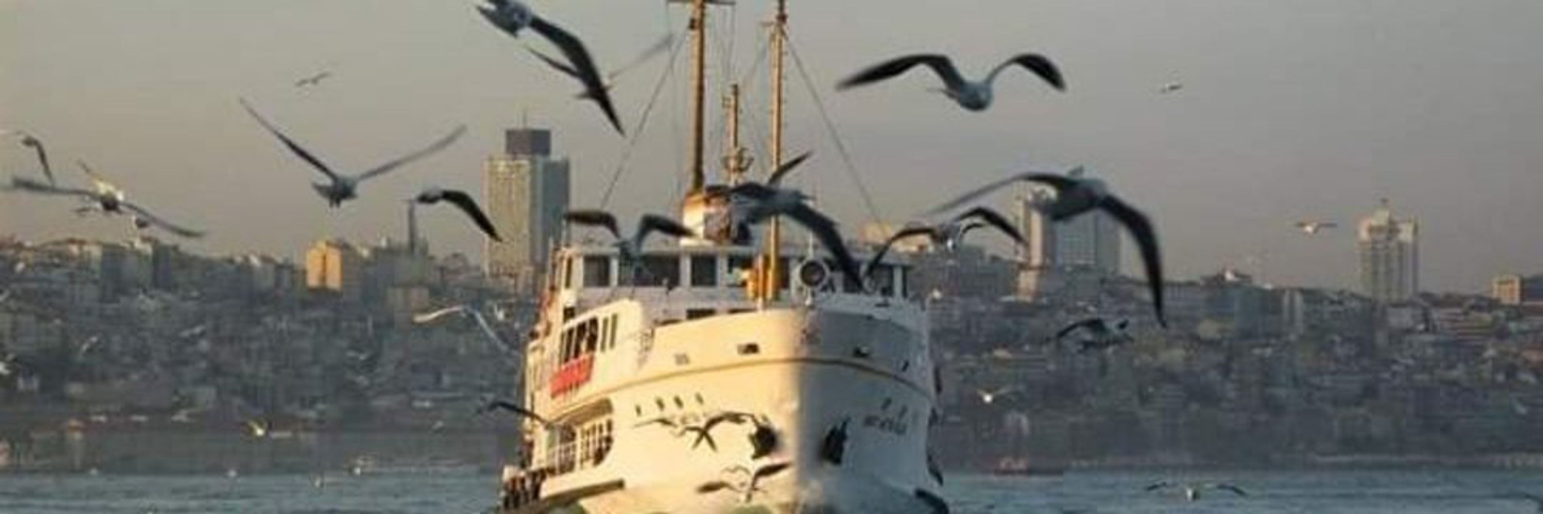 Gül