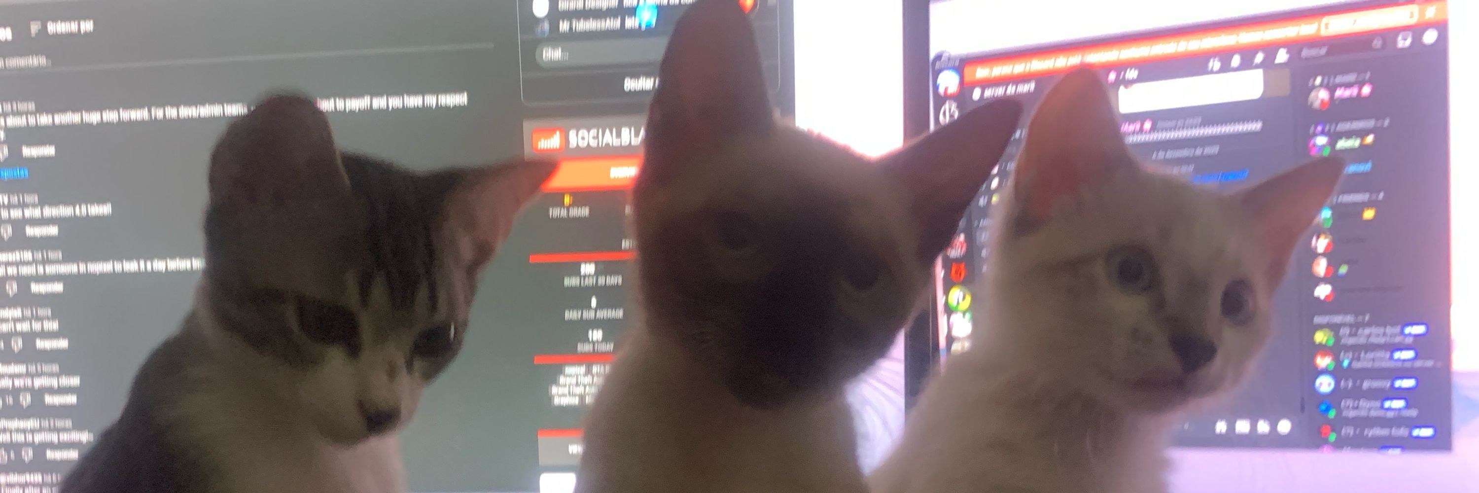 Marii