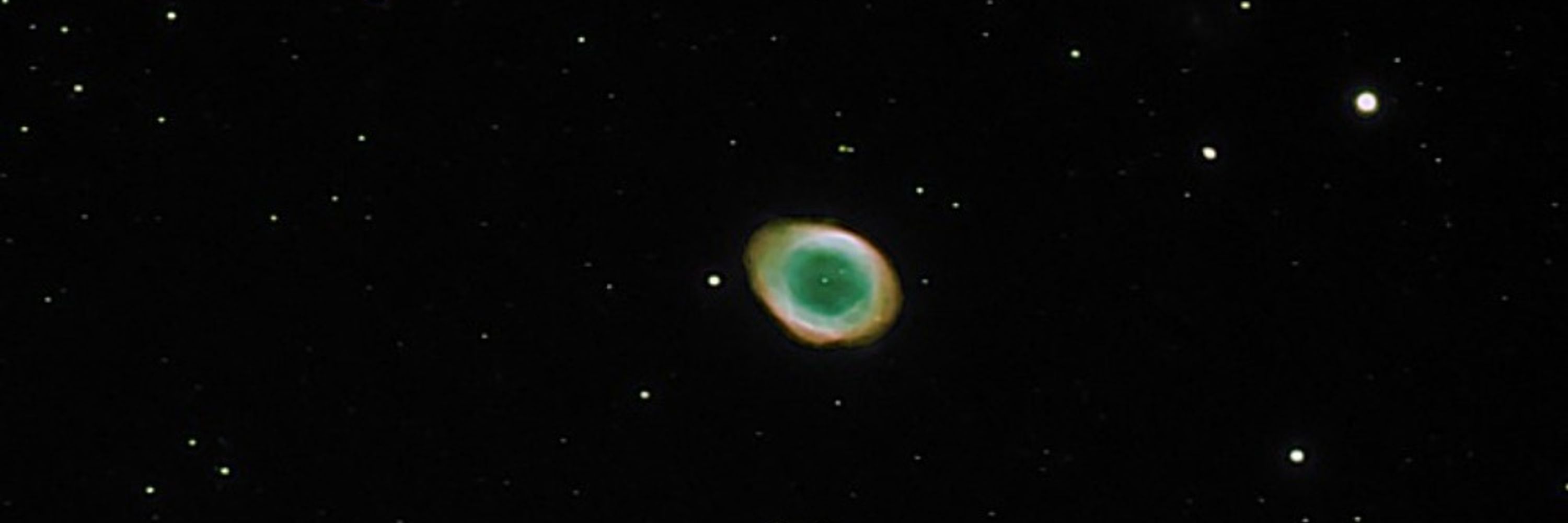 Scott D. Young