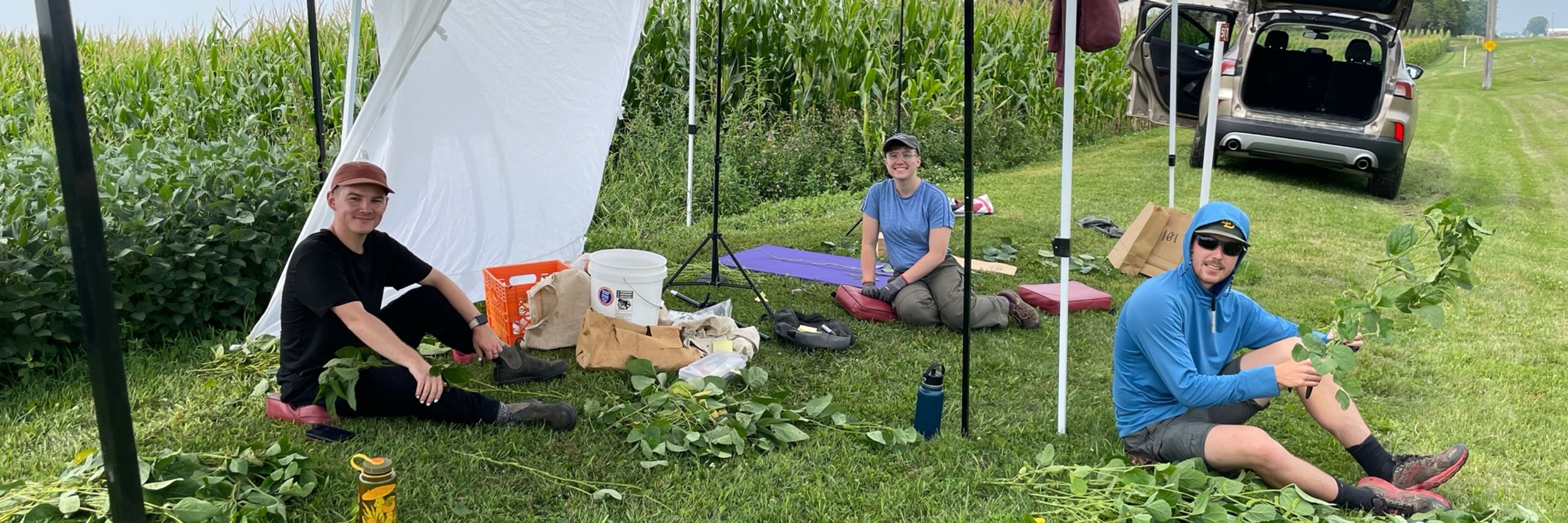 Soilborne Fungi and Oomycetes Lab at UMN