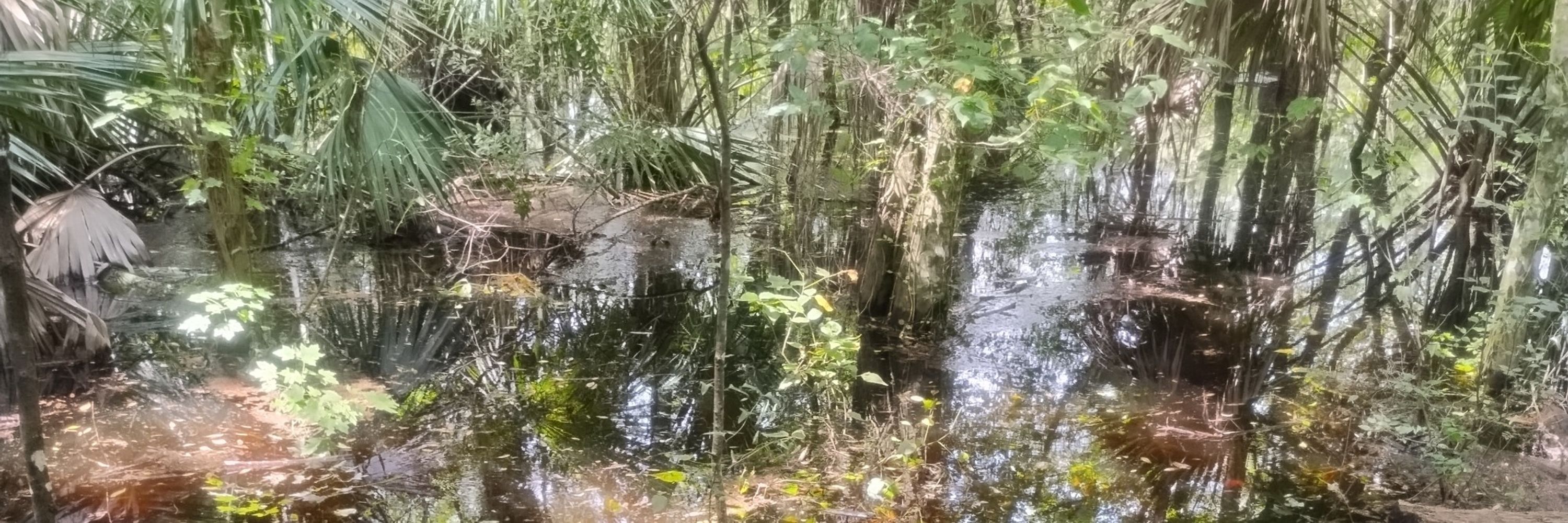 klcohio