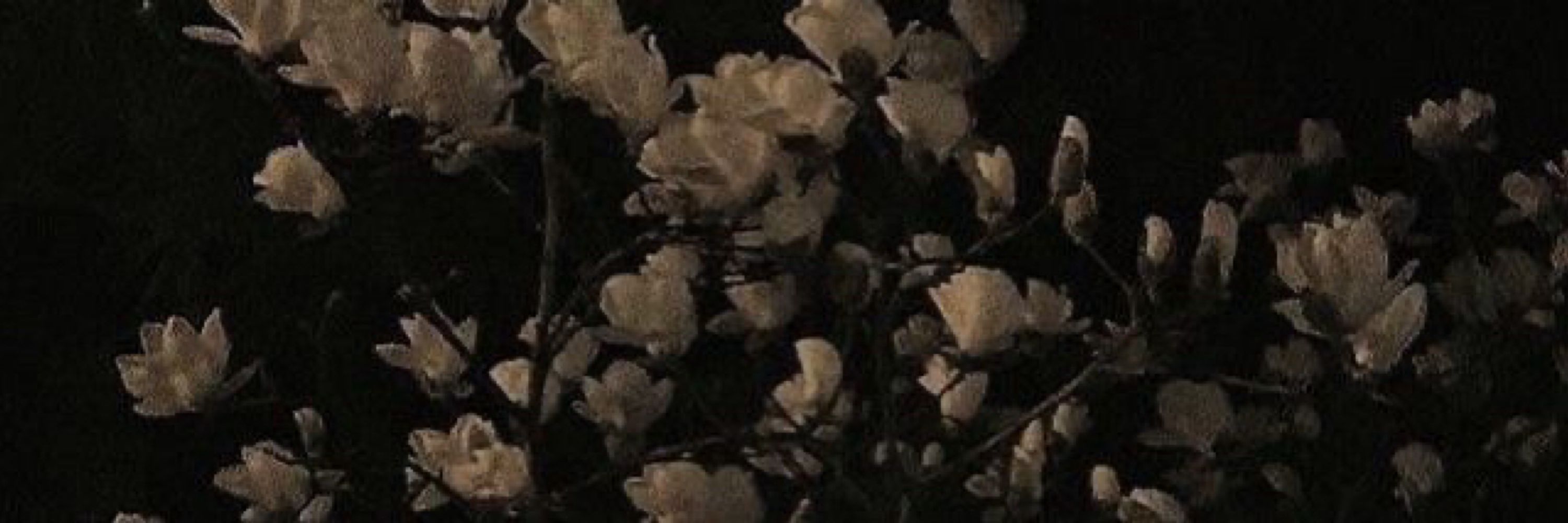 B.🐝