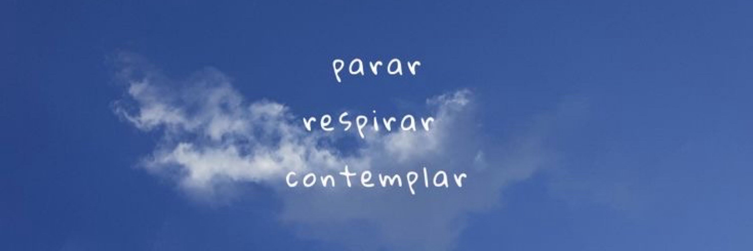 Jú Pedersoli 🌻