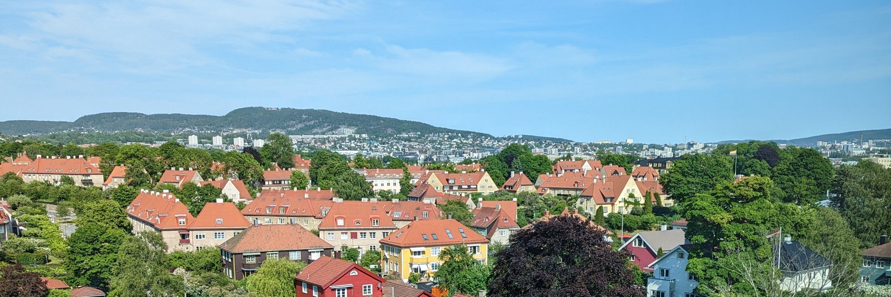 Bjørn Mo Forum