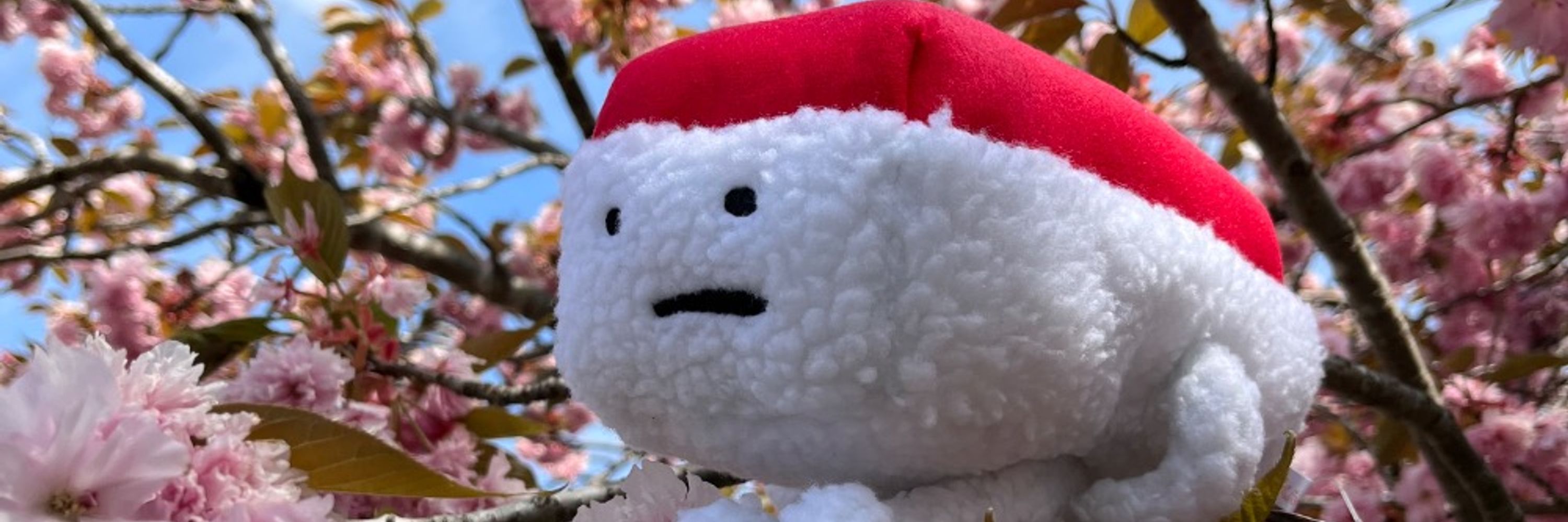 カズカズ