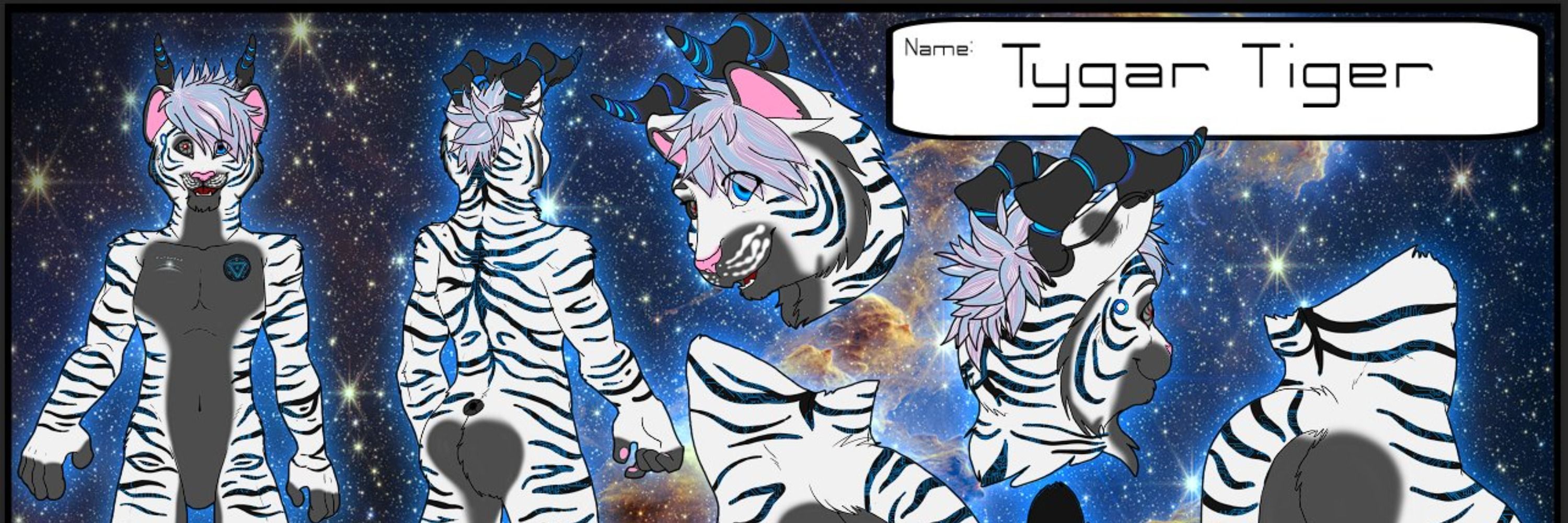 Tygar Beck