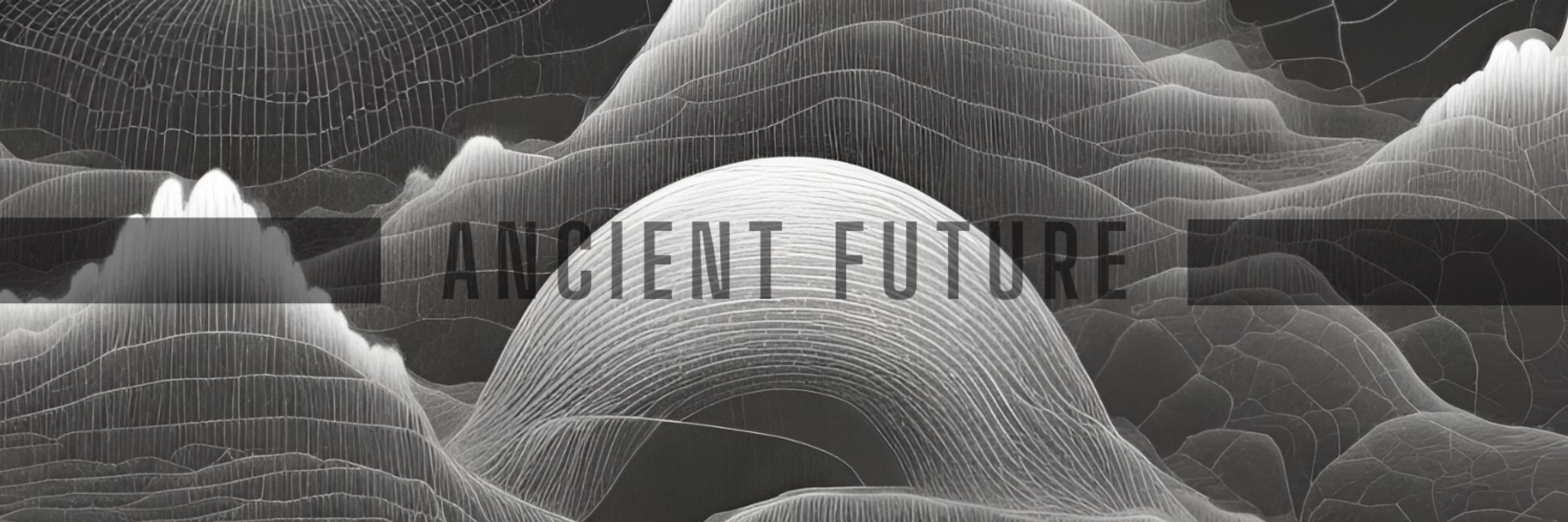 Ancient Future