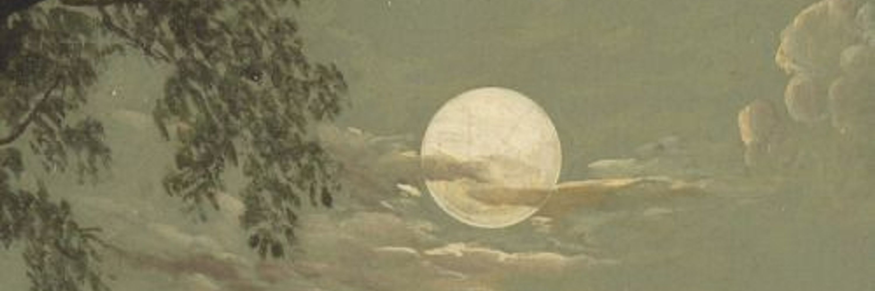 Ari 🌕