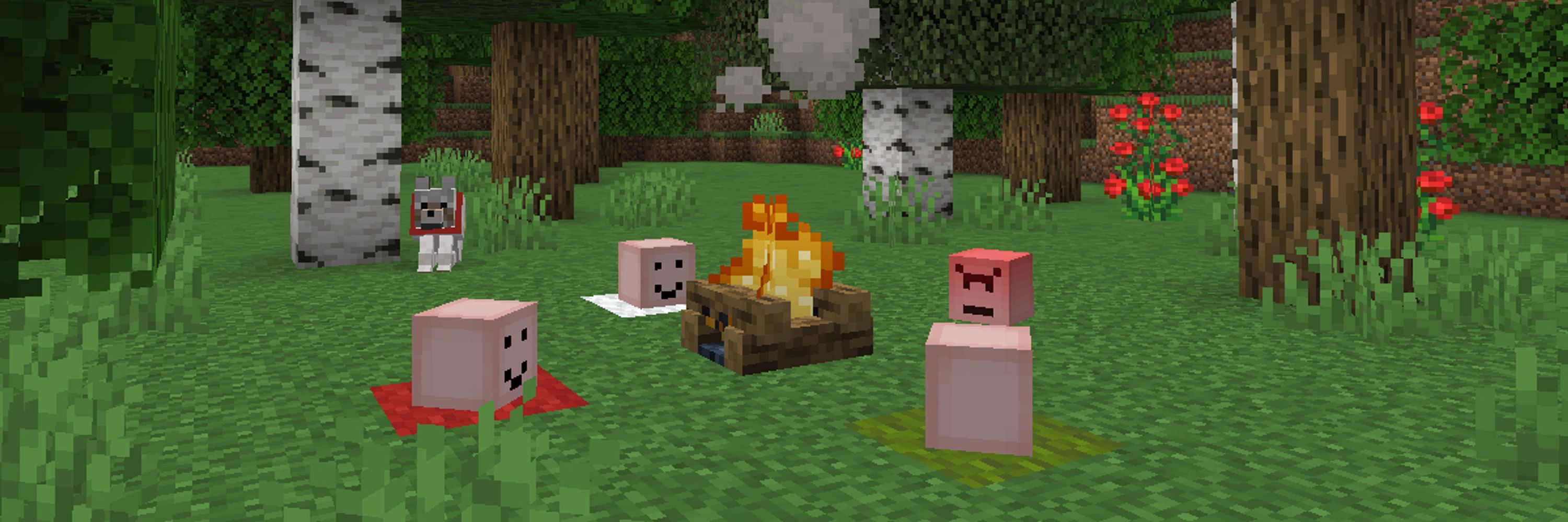 Patbox