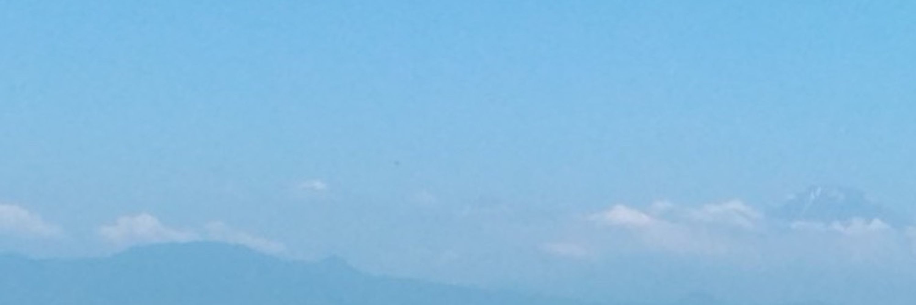 守宮泉