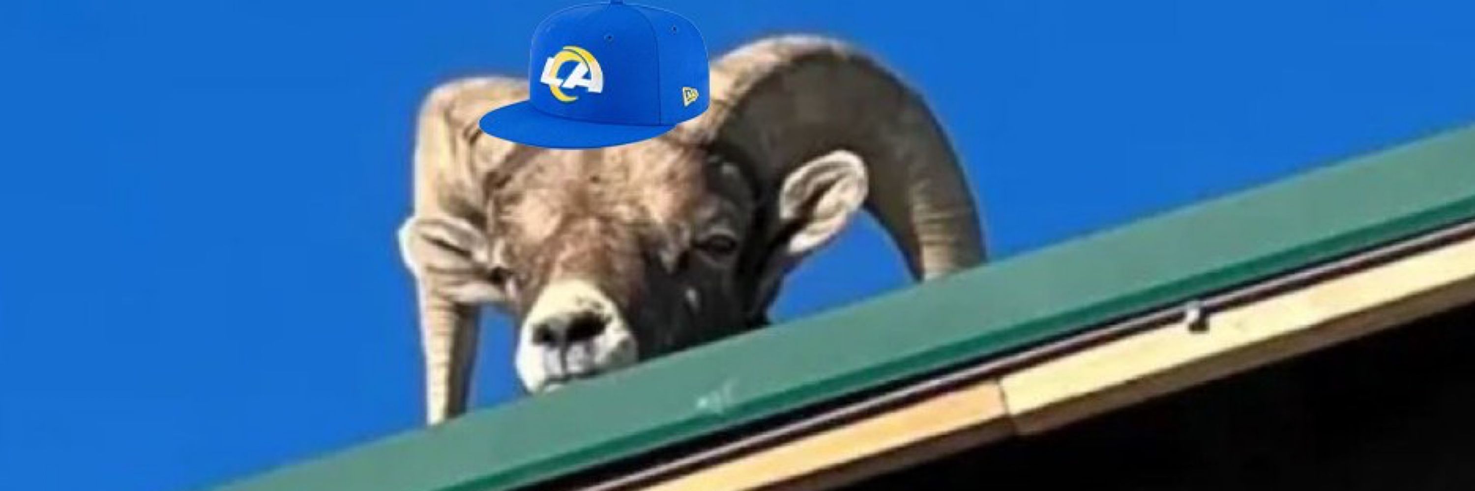 RAMbassador™