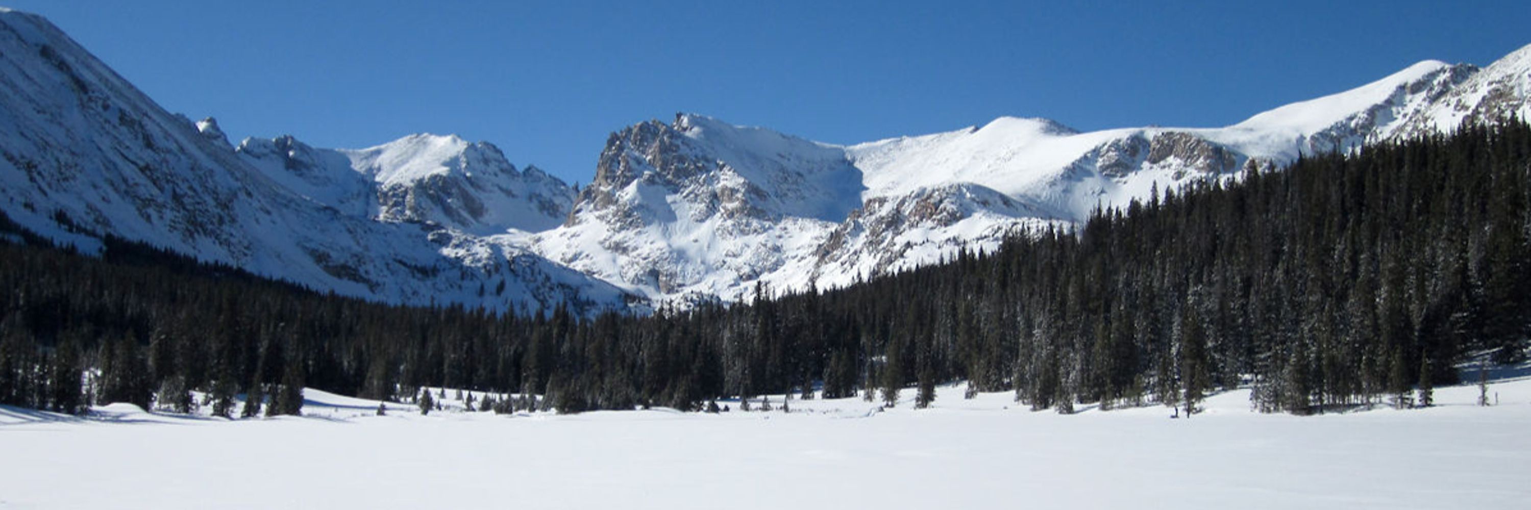 Steve in Colorado 🐏🏔️⛷️