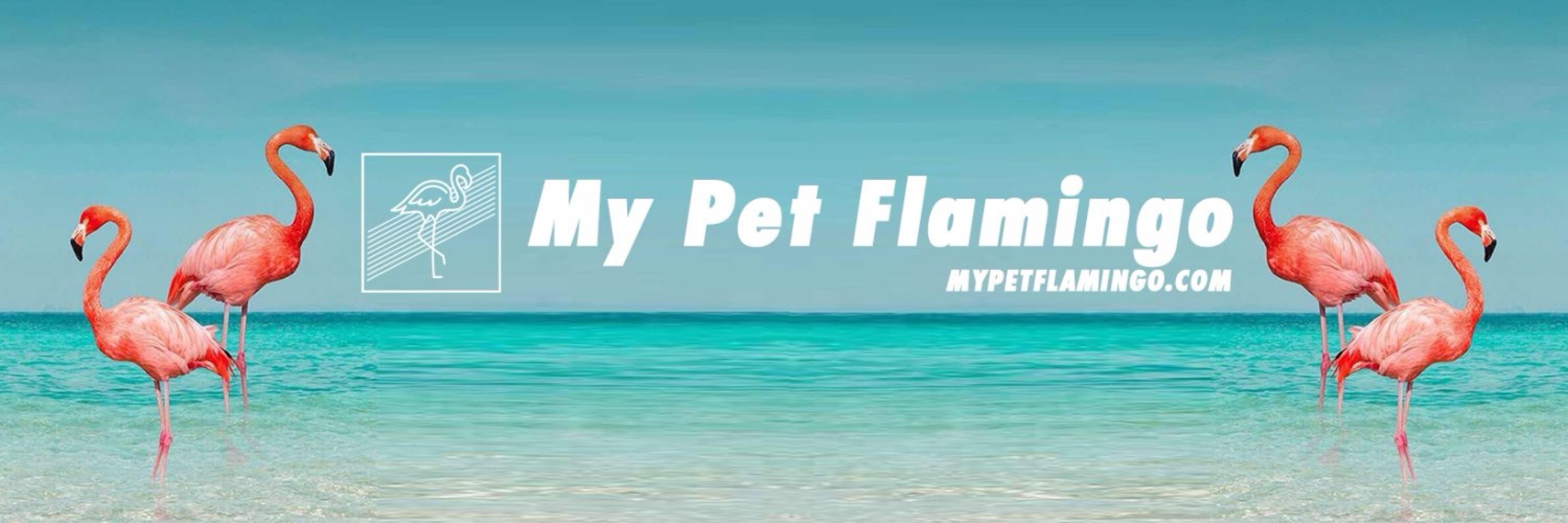 My Pet Flamingo