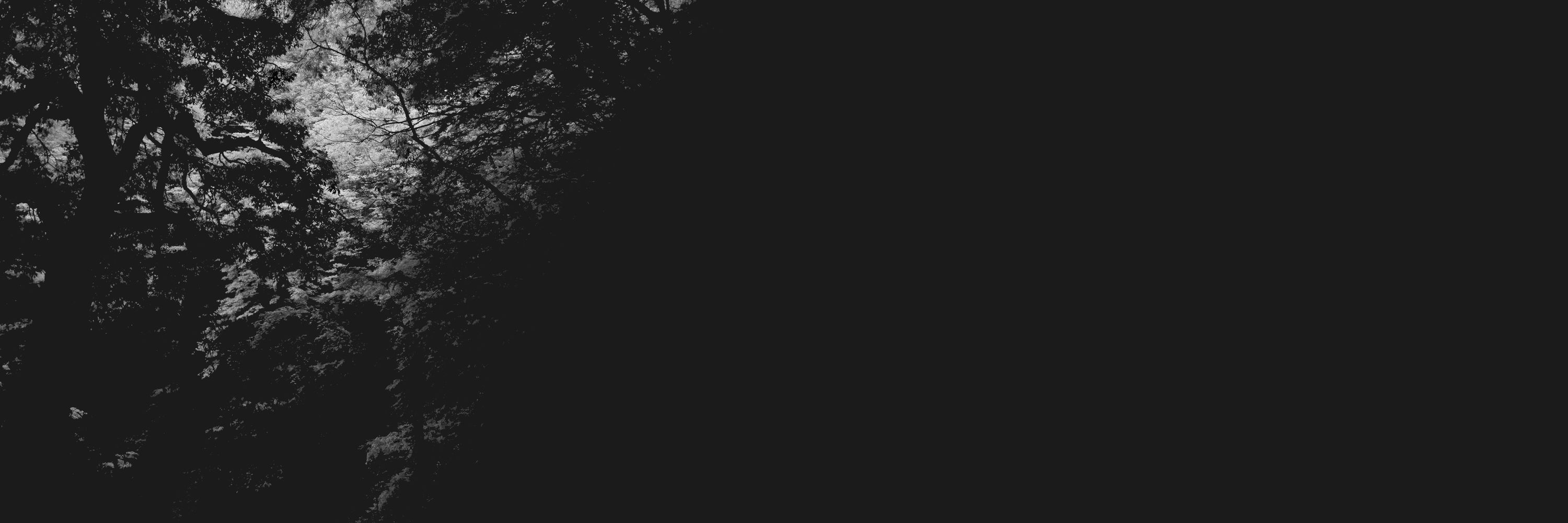 Benton | Incunabuli