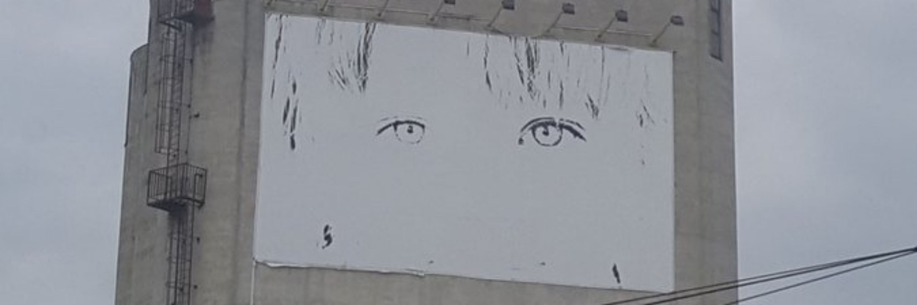Zebar19