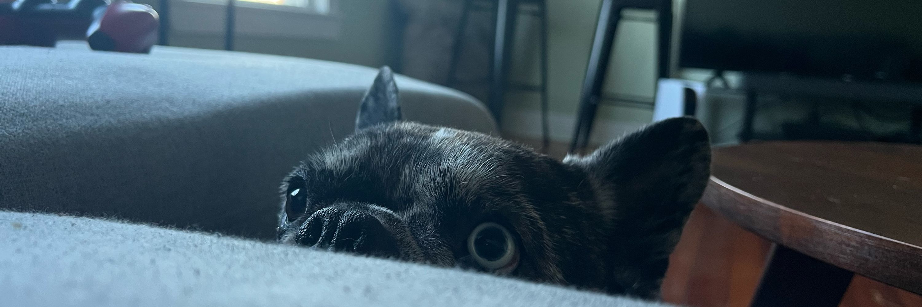 Rocco