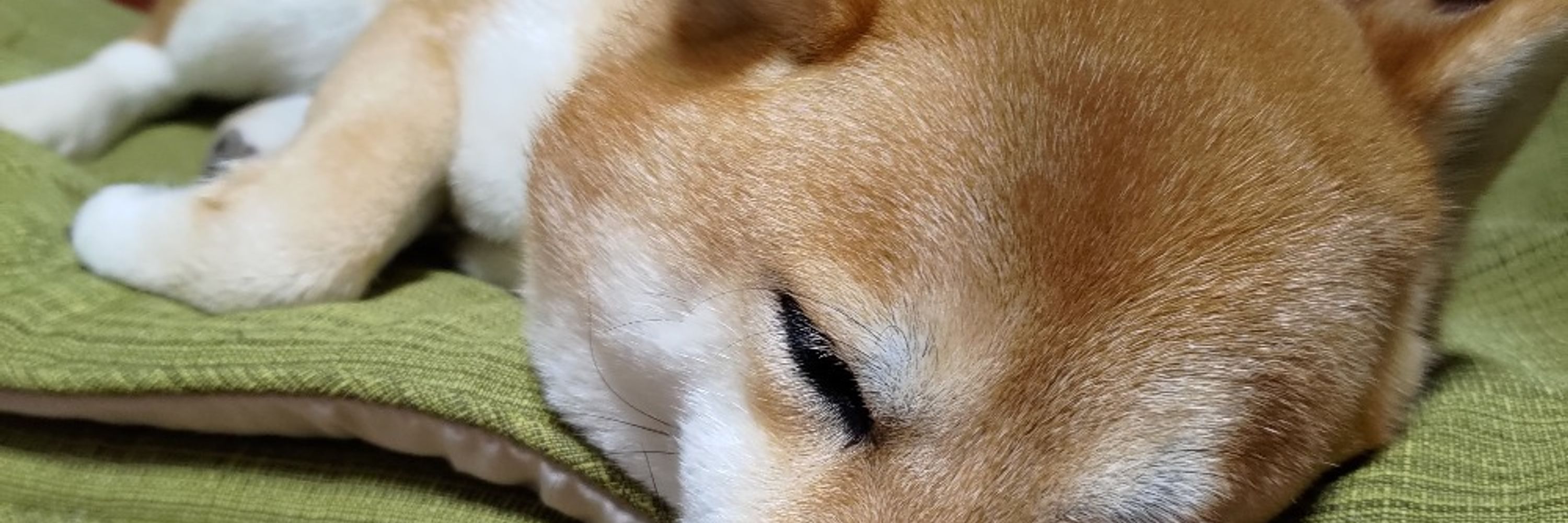 すぺ