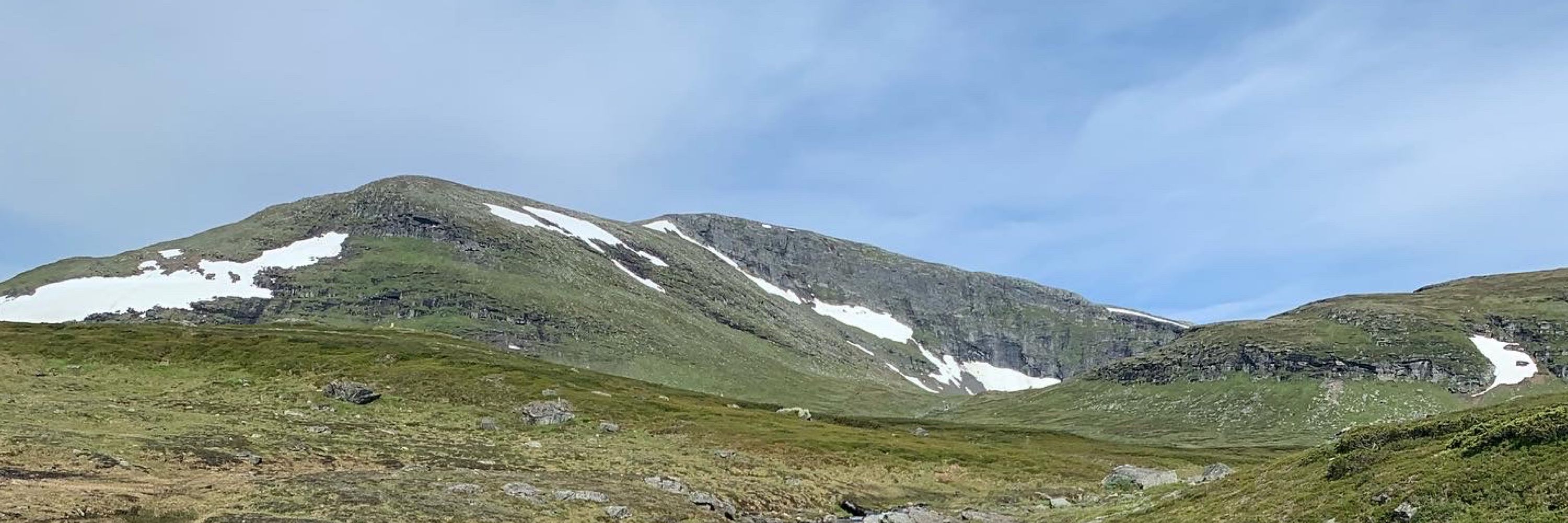 Gurra / Vinter