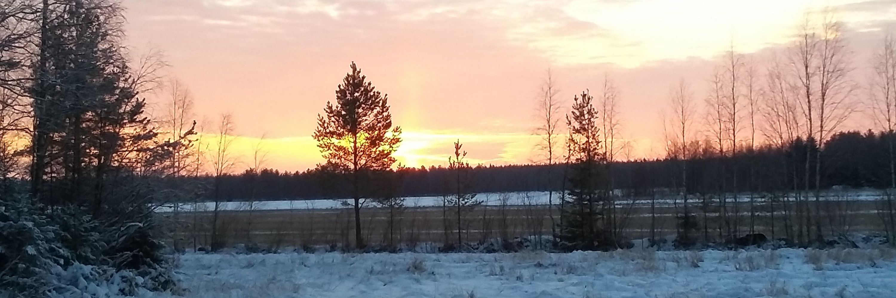 Saara Kupsala