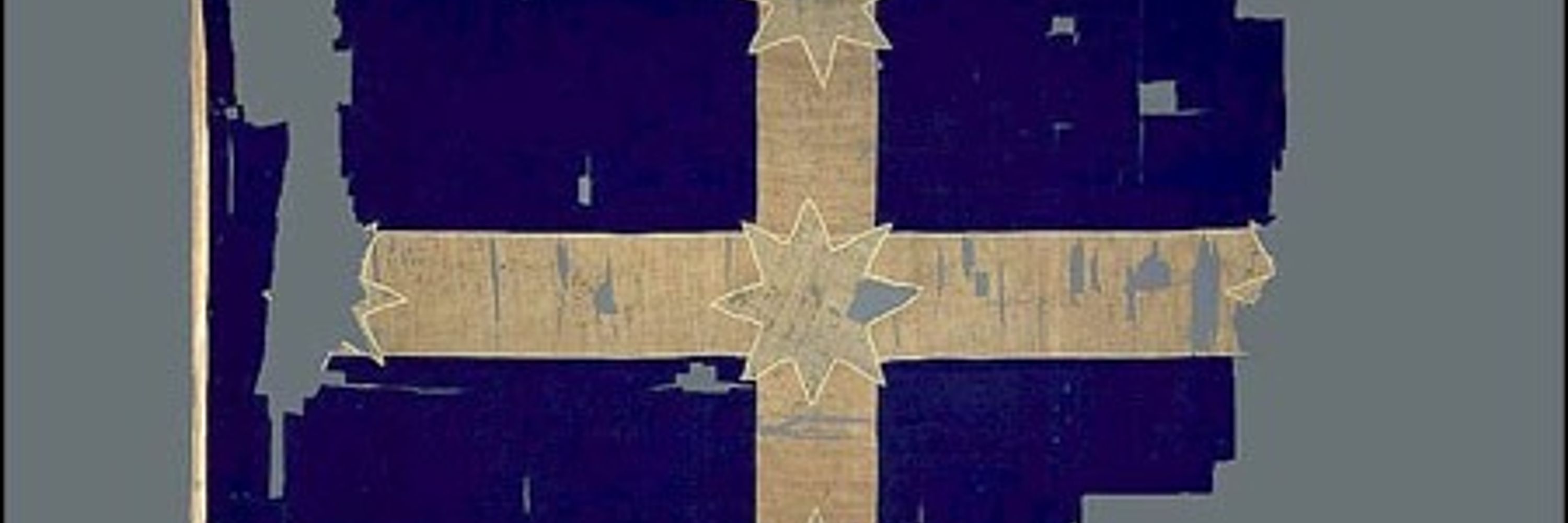 Aegisint