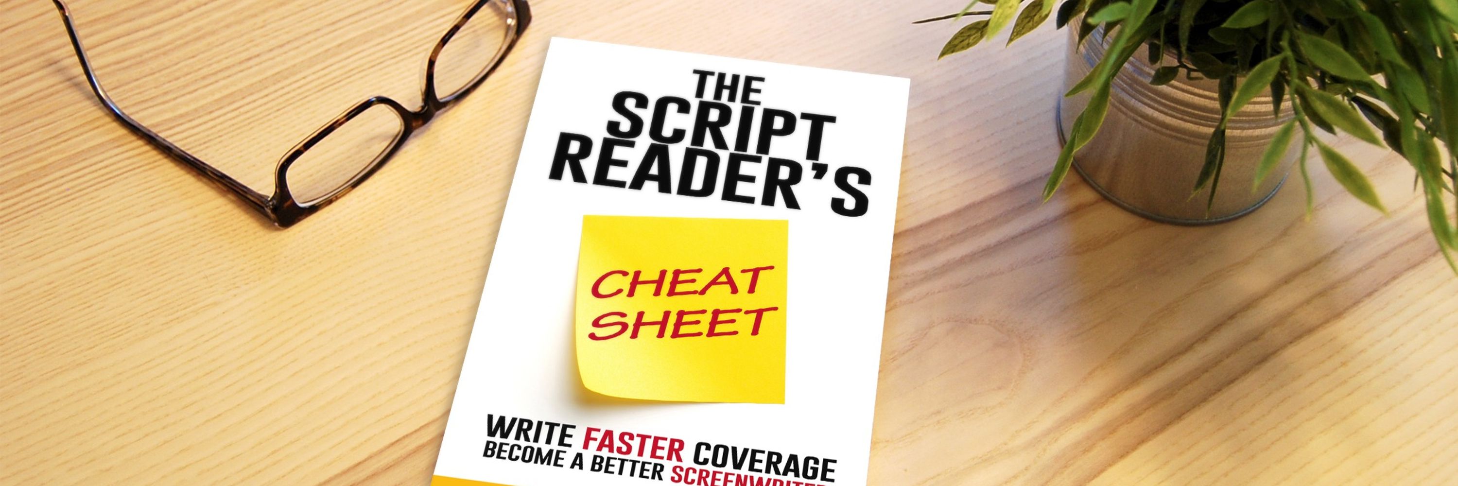 The Script Reader