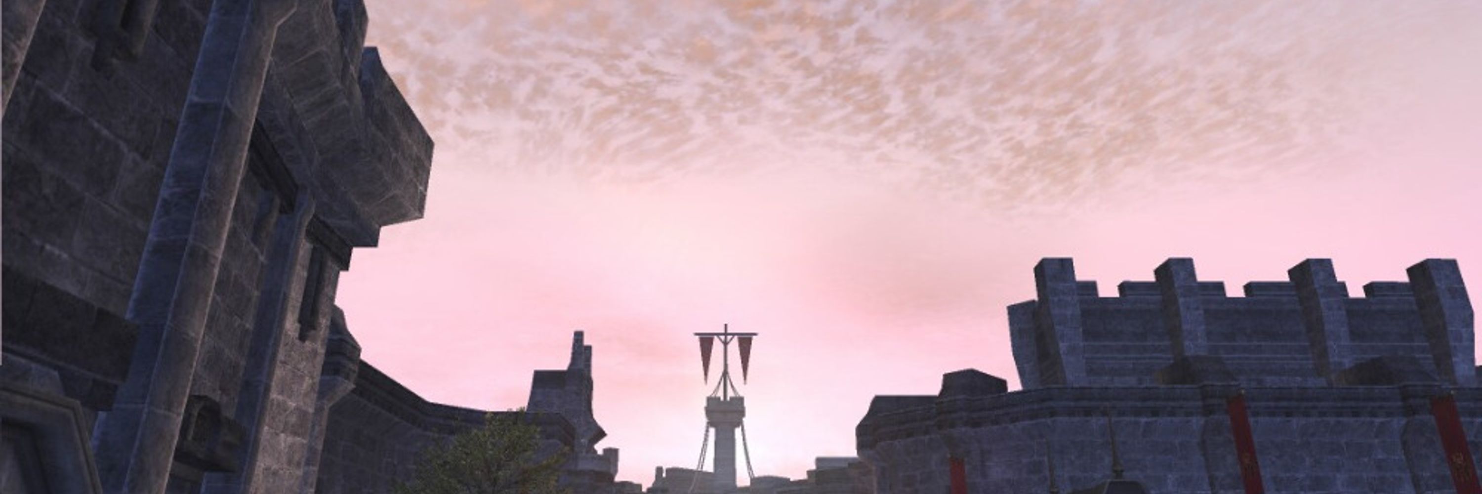 FF11_degus