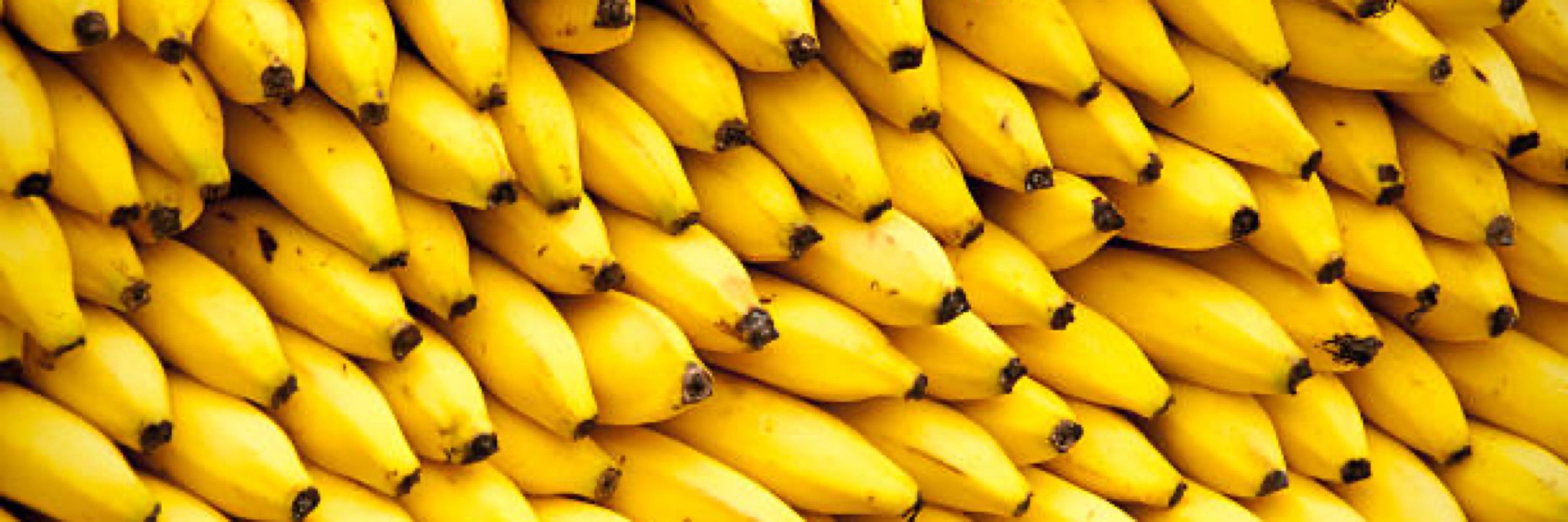 Crash Banana