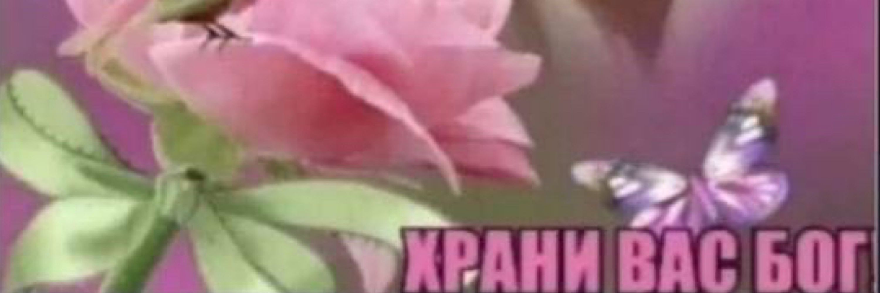 Крошка хыббебыб