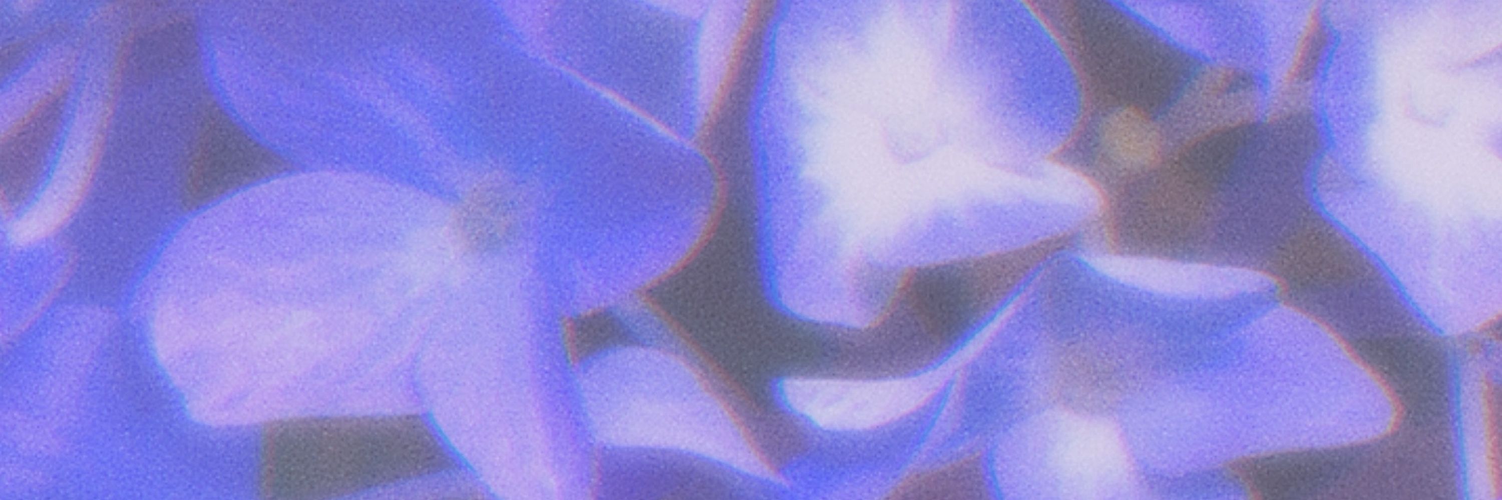 相樂