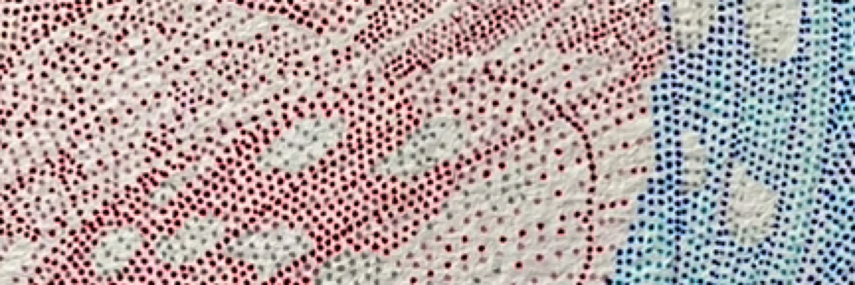 TravisInPointillism