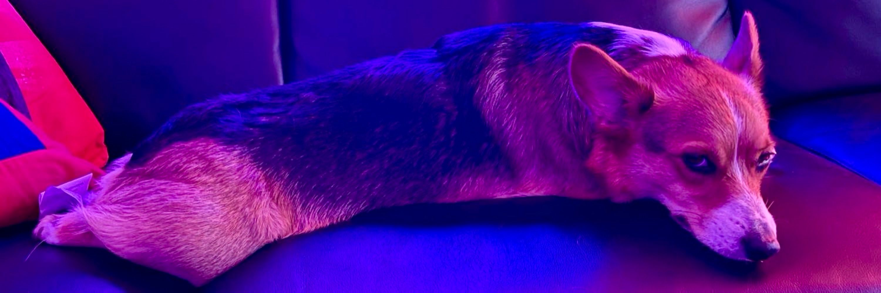 𝐄𝐫𝐢𝐜 𝐇𝐨