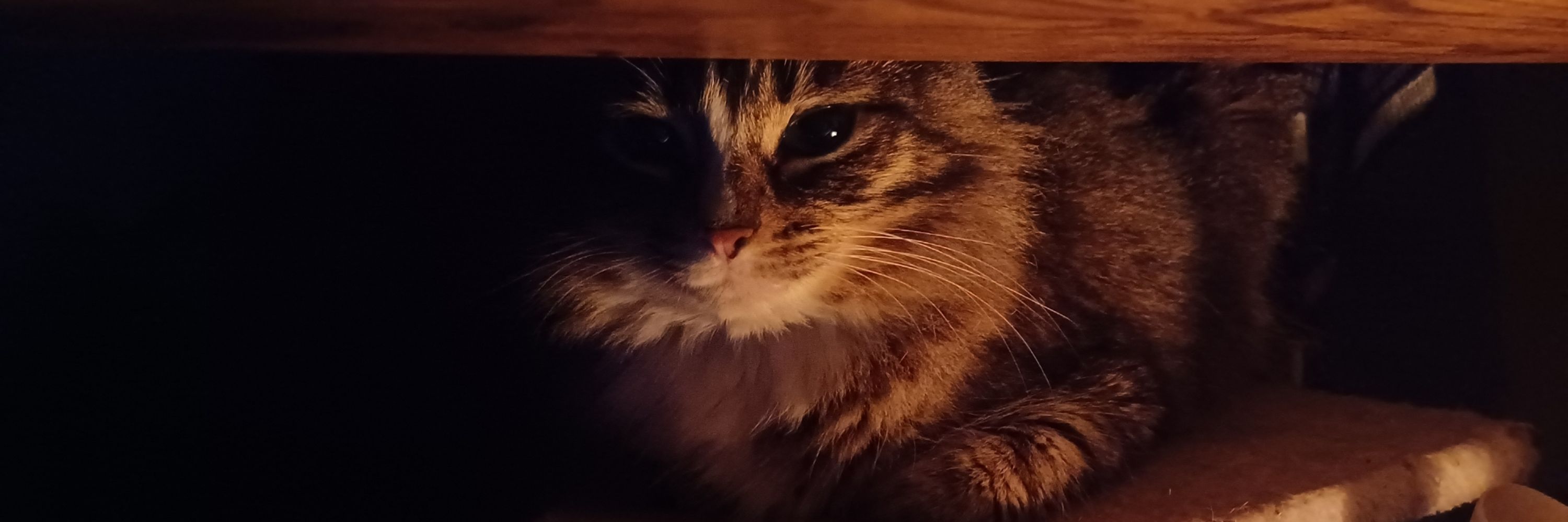 Maru
