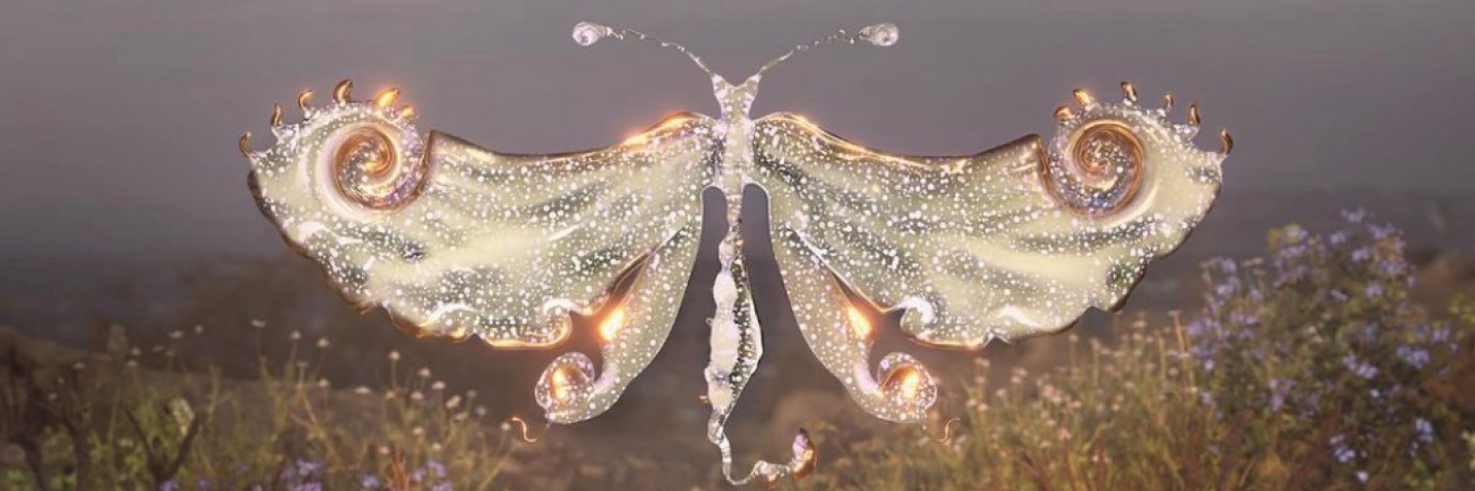 perpetual✦chrysalis