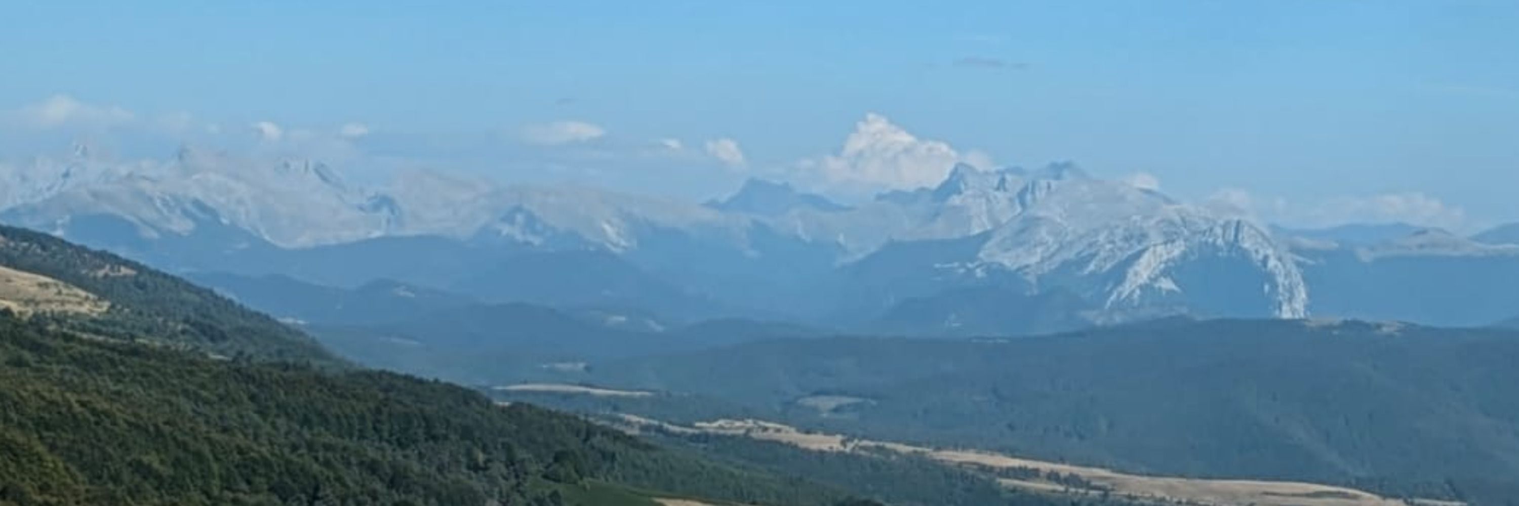 Julio AG