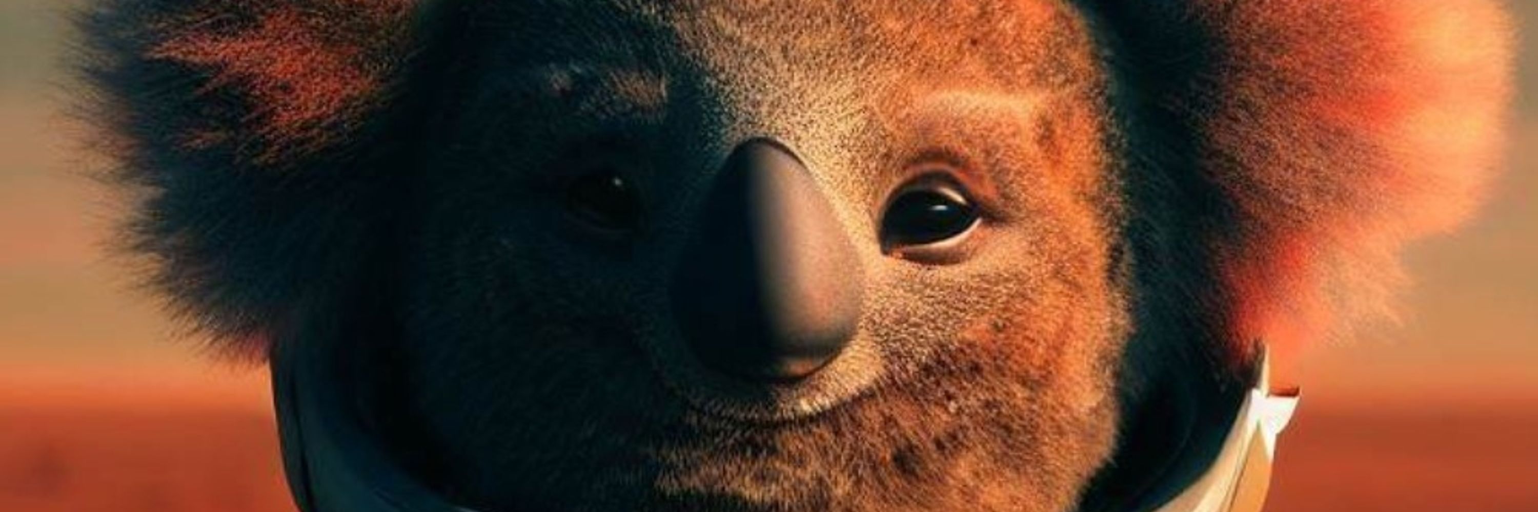 Space Koala 