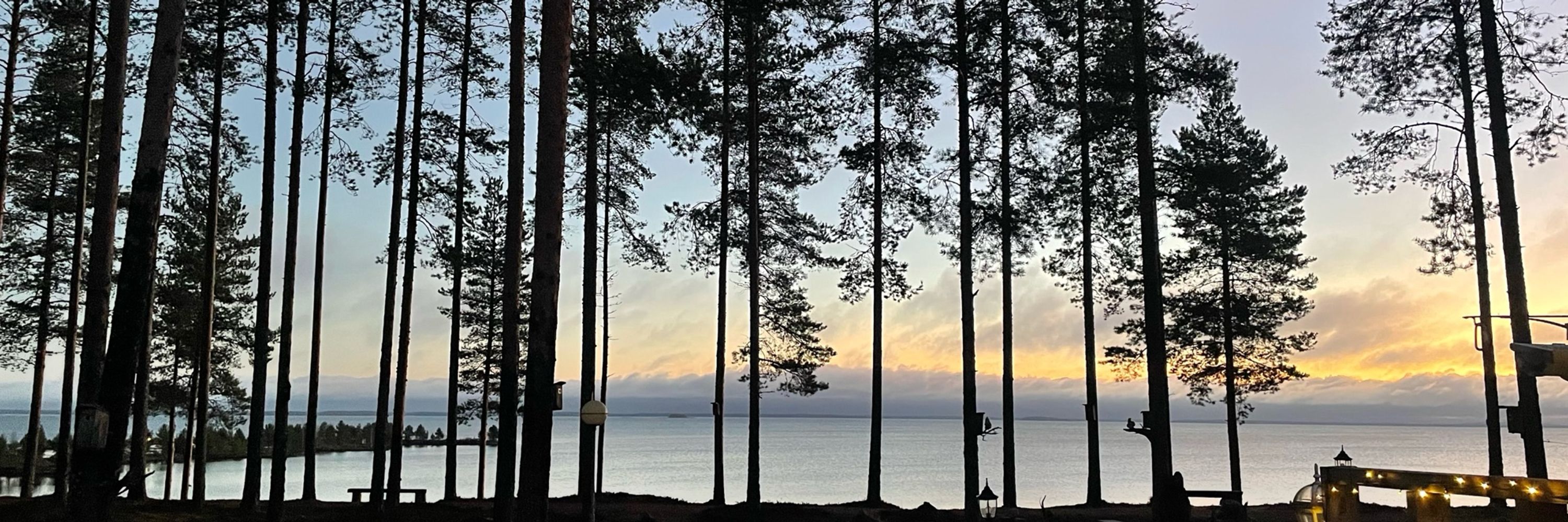 Pasi Tervonen