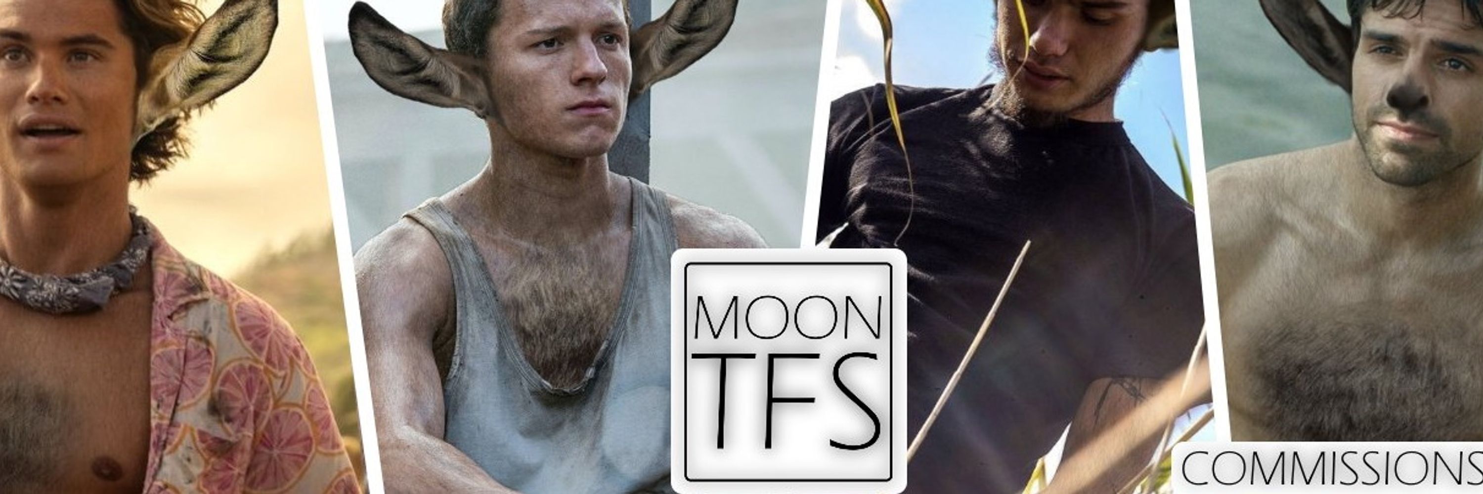 Moon TFs